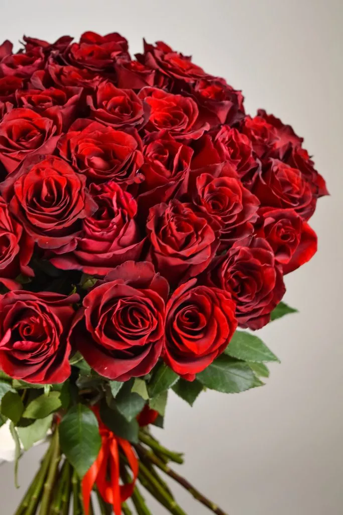 75 красных роз Эквадор