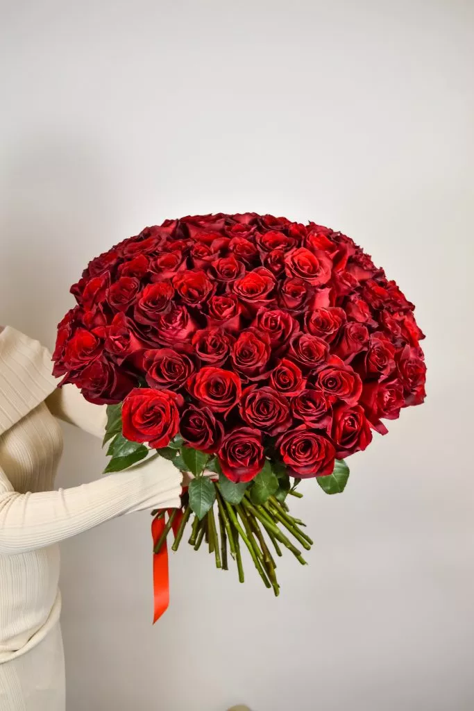 75 красных роз Эквадор