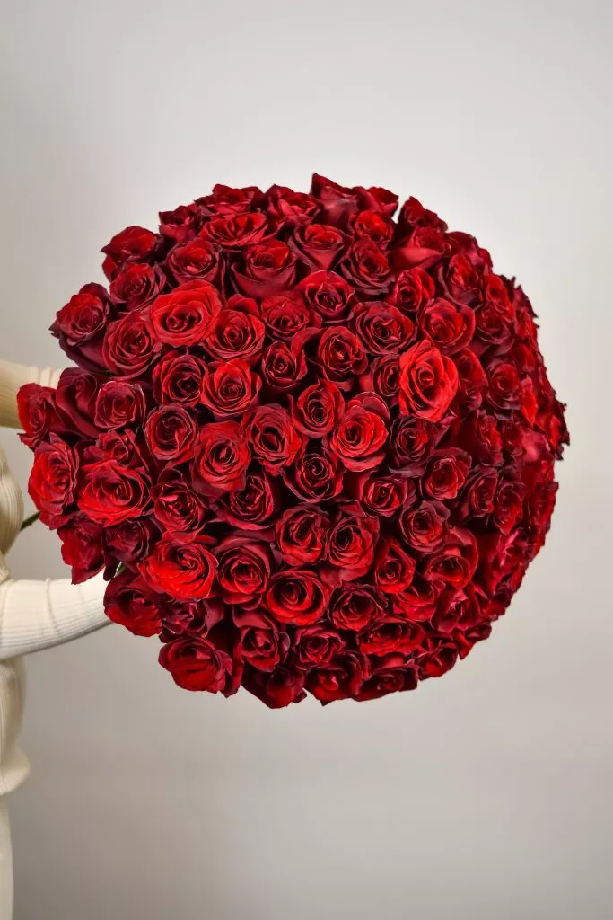 101 красная роза Эквадор