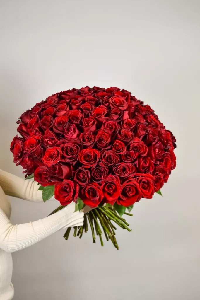 101 красная роза