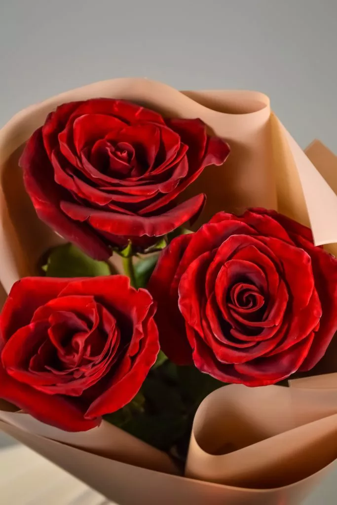 Красные розы