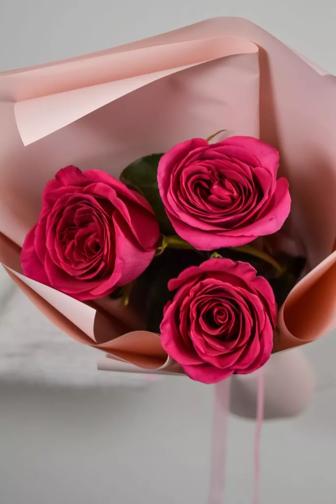 Розовые розы