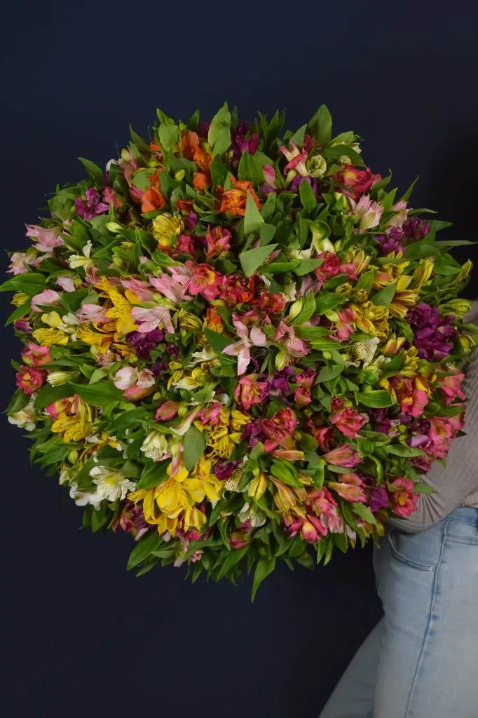 101 альстромерия микс