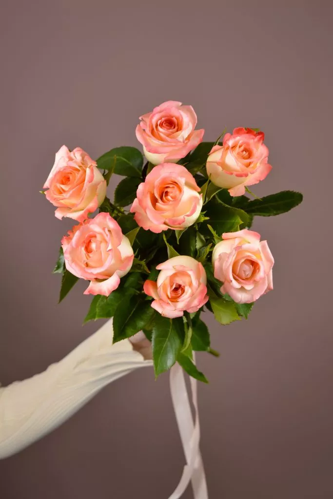 9 розовые розы Эквадор