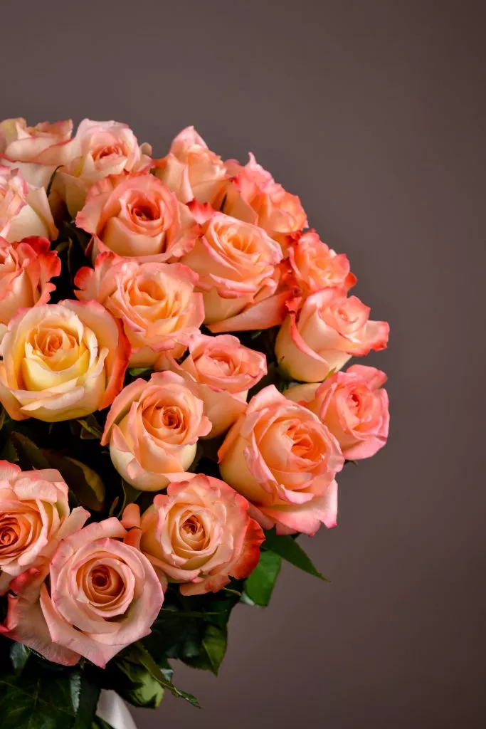 27 розовые розы Эквадор