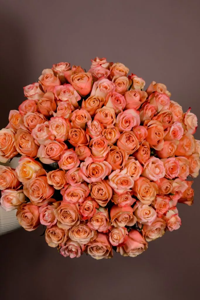 85 розовые розы Эквадор