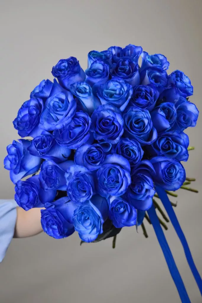 35 синих роз Эквадор