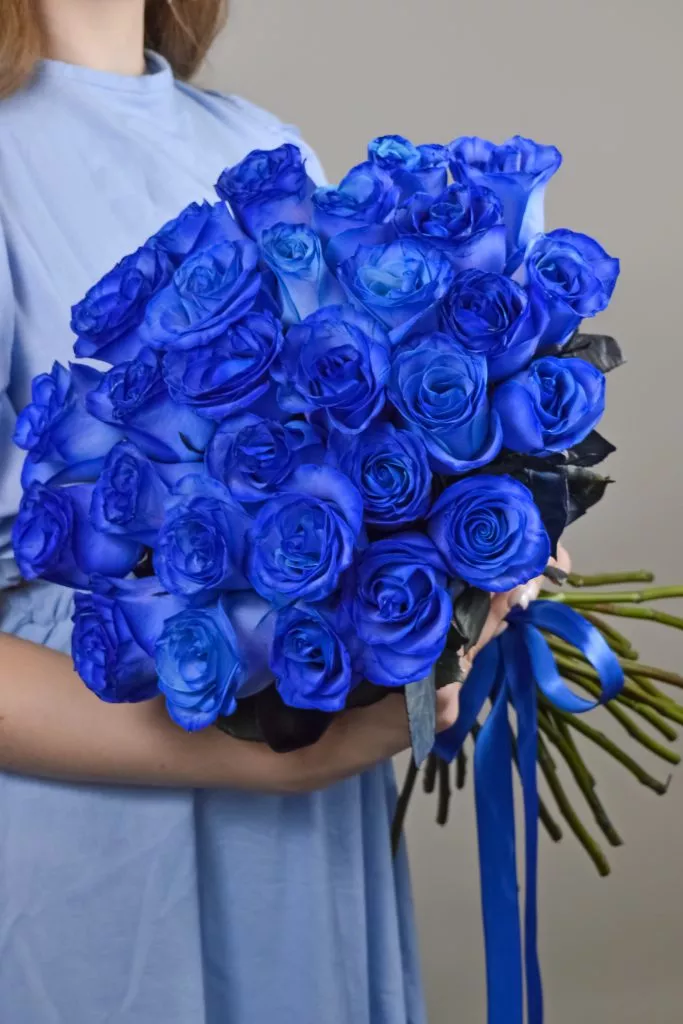 31 синяя розф Эквадор