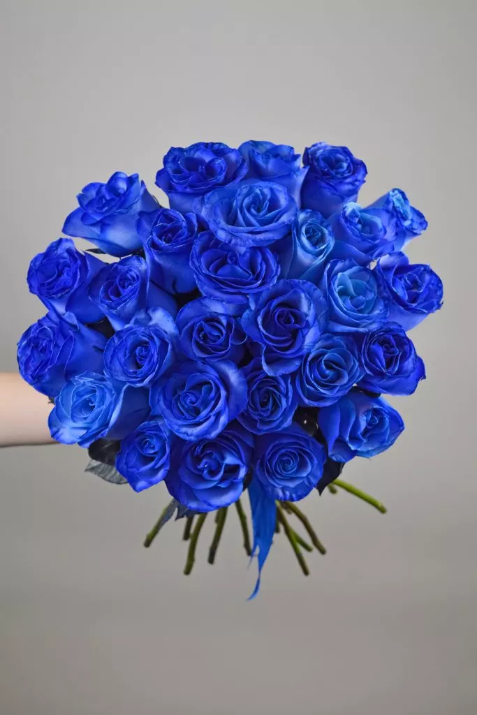 29 синих роз Эквадор