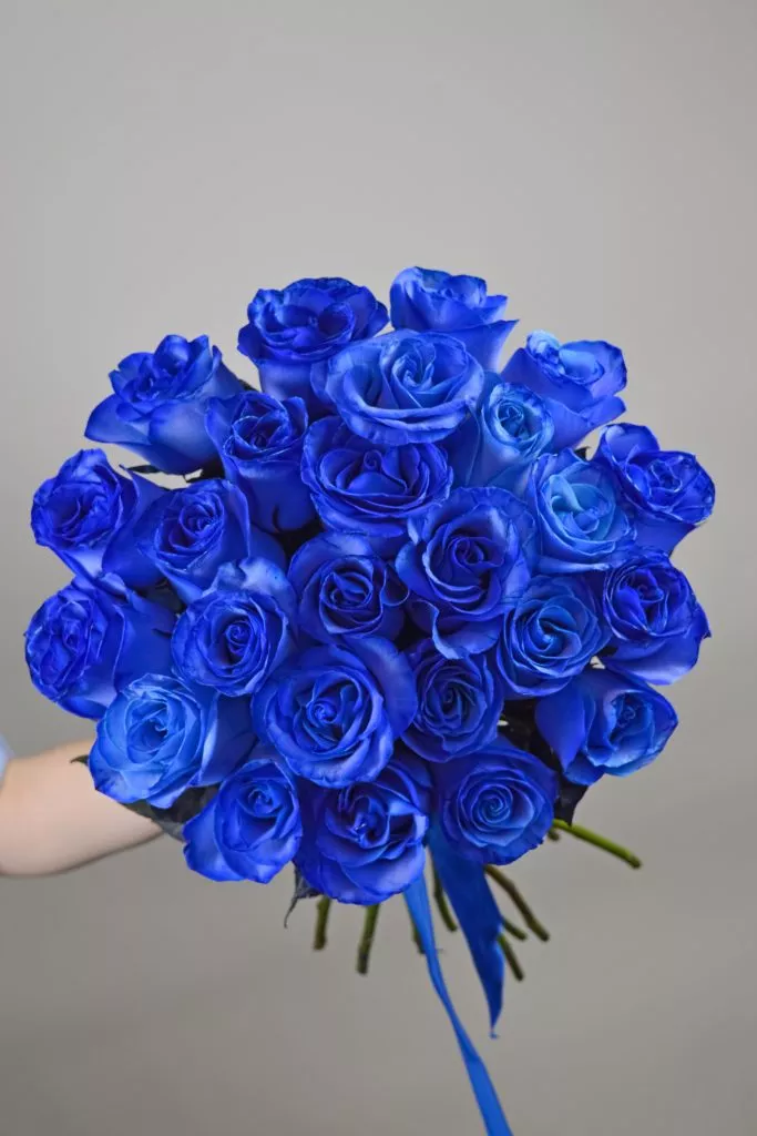 25 синих роз Эквадор