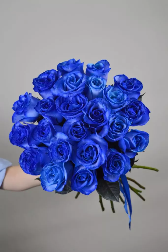 23 синих роз Эквадор