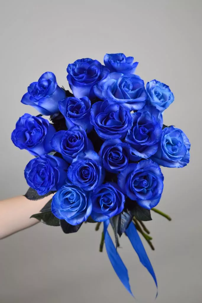 17 синих роз
