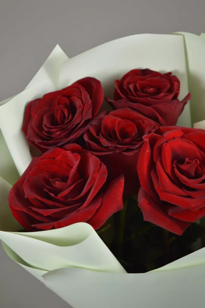 5 красных роз в упаковке