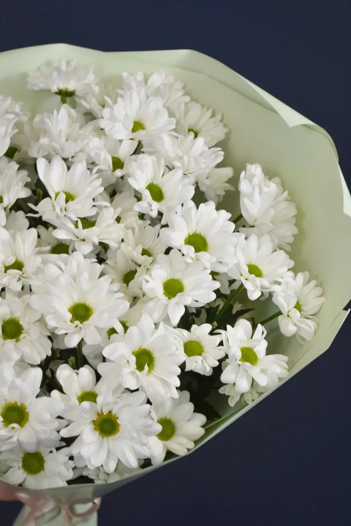 Букет хризантем