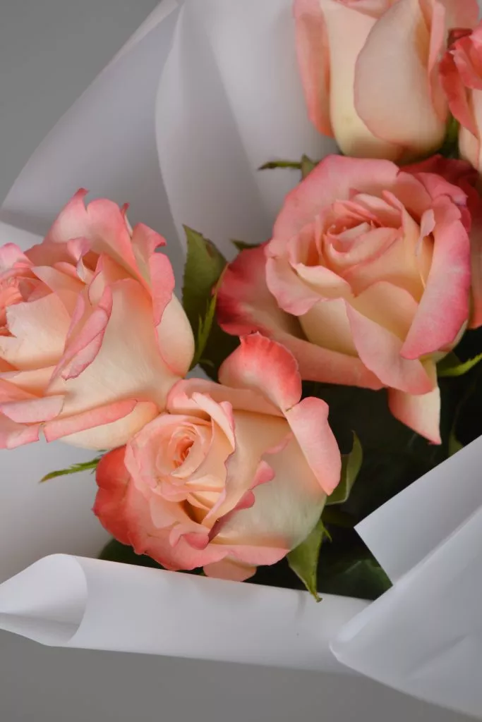 5 розовых роз Эквадор