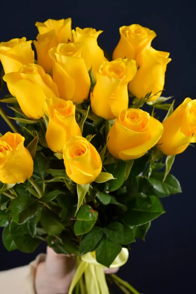 19 желтых роз