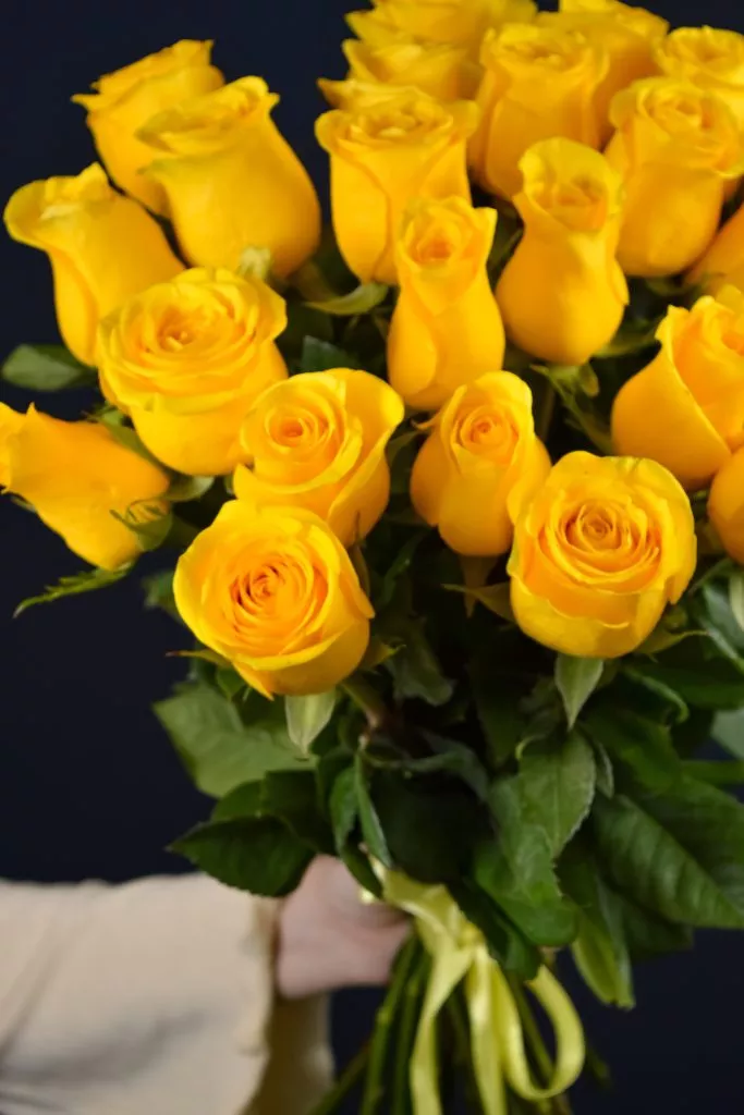 25 желтая роза