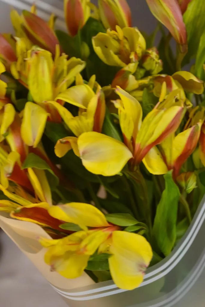 3 жёлтых альстромерии