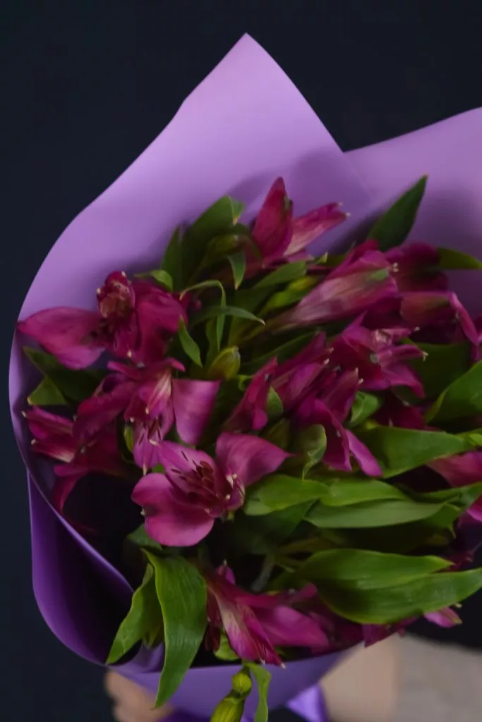 3 фиолетовые альстромерии