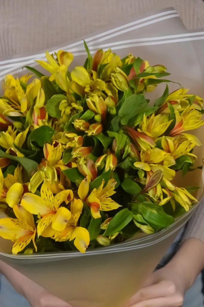 9 жёлтых альстромерий