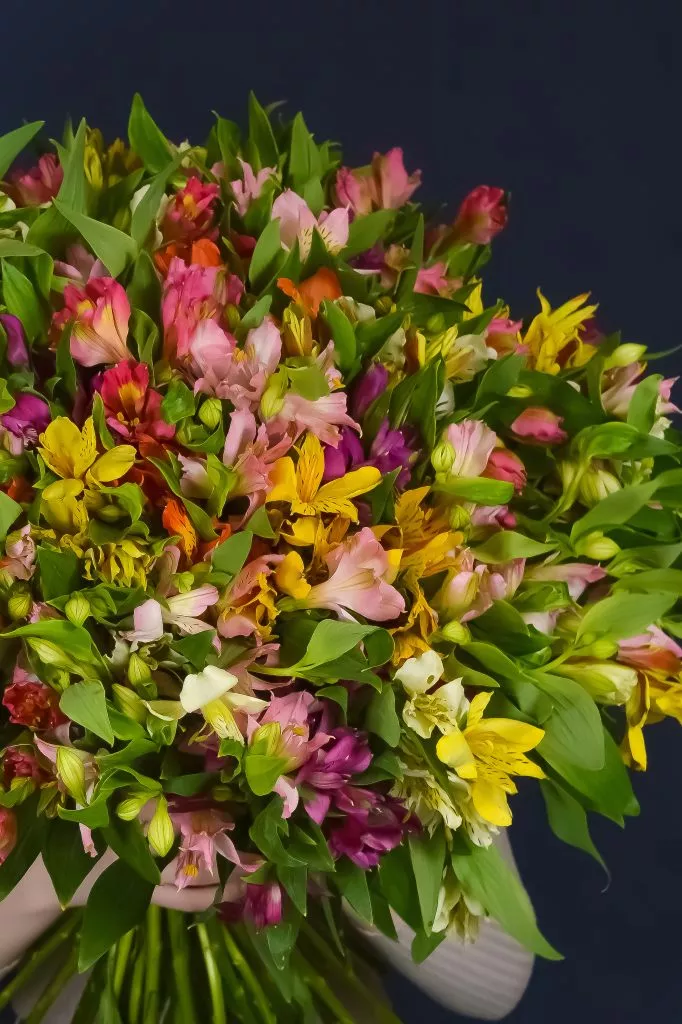 51 альстромерия микс