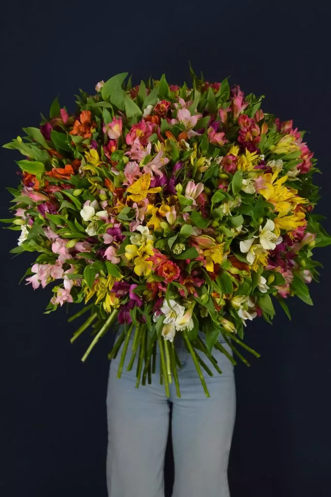 101 альстромерия микс