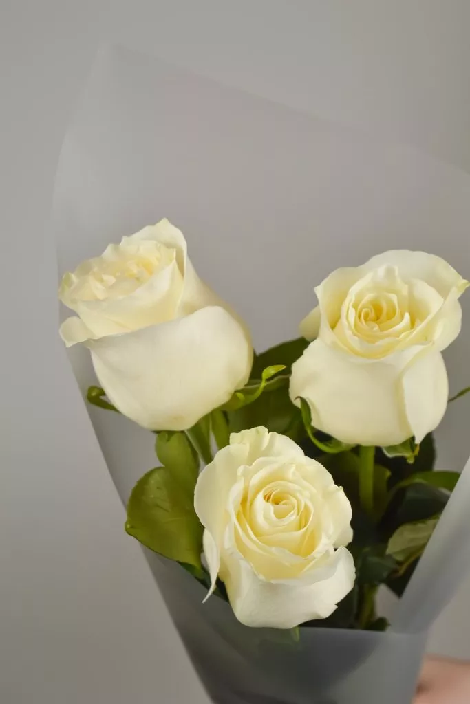 3 белые розы Эквадор