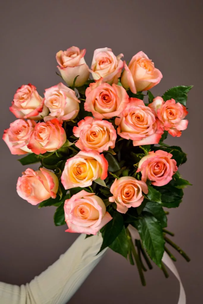 15 розовые розы Эквадор