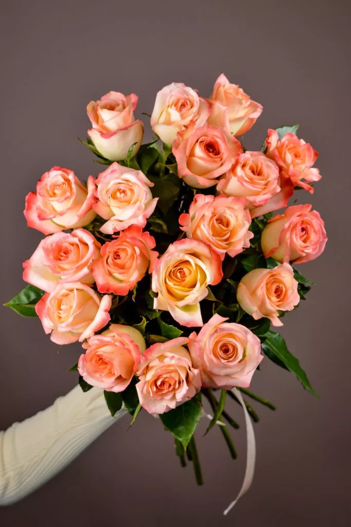 17 розовые розы Эквадор