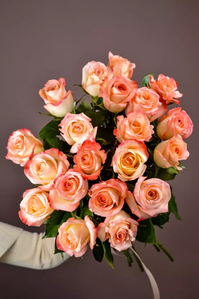 19 розовые розы Эквадор