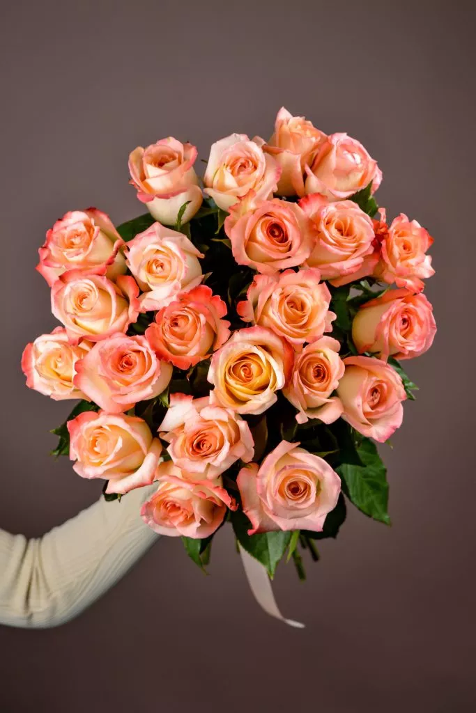 21 розовые розы Эквадор