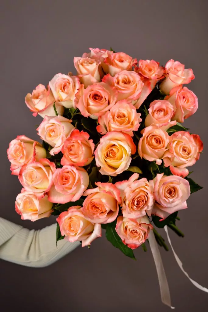 25 розовые розы Эквадор