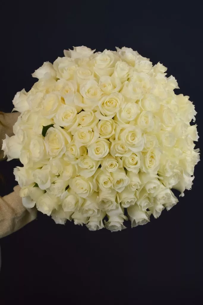 75 белых роз 40 см