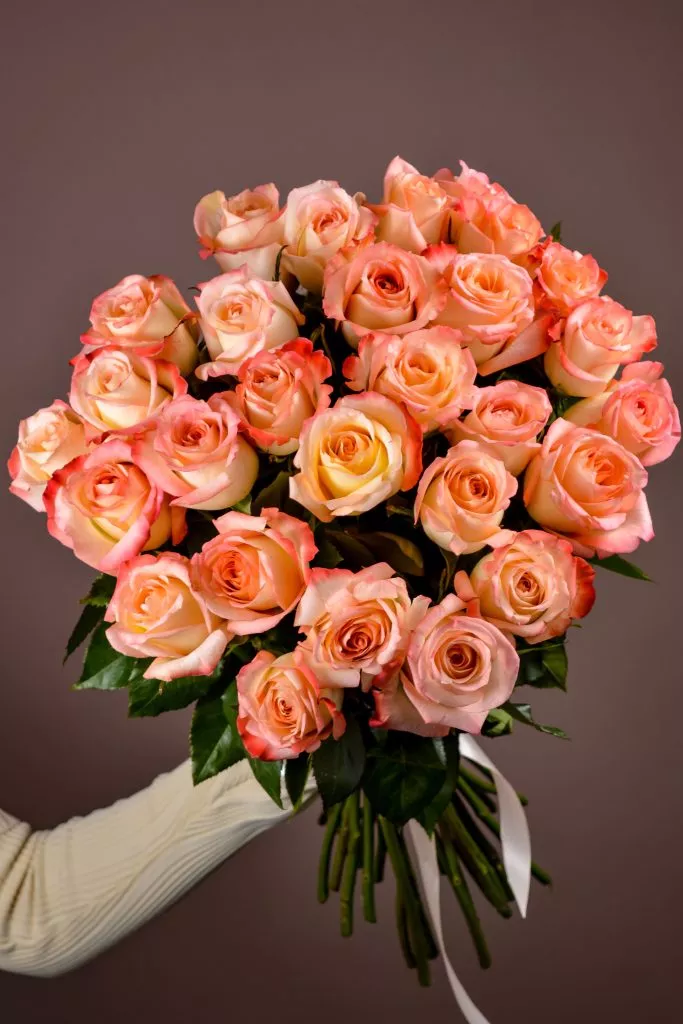 27 розовые розы Эквадор