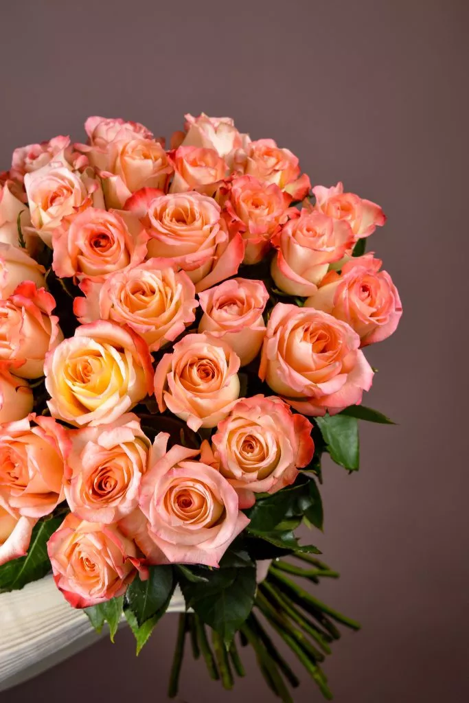 29 розовые розы Эквадор