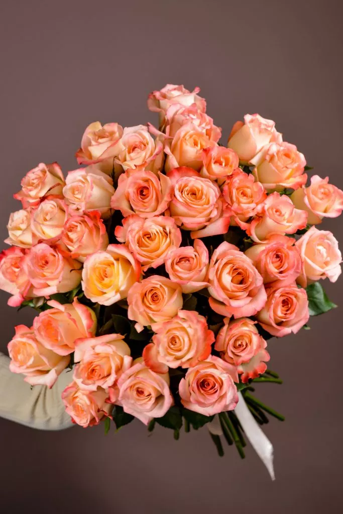 31 розовые розы Эквадор