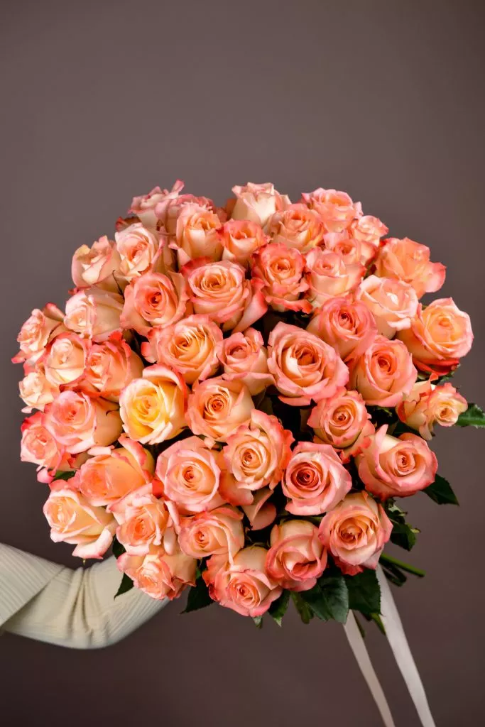 35 розовые розы Эквадор