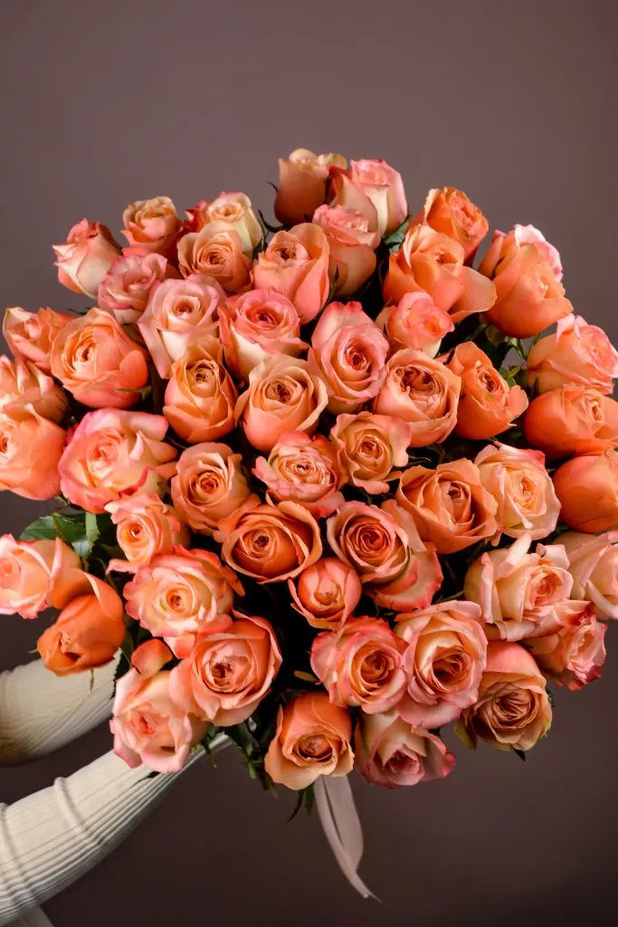 51 розовые розы Эквадор