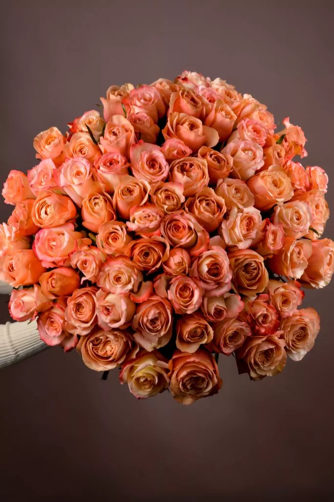 75 розовые розы Эквадор