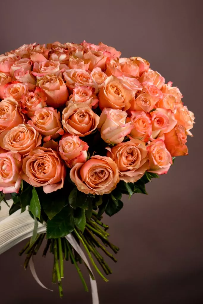 85 розовые розы Эквадор