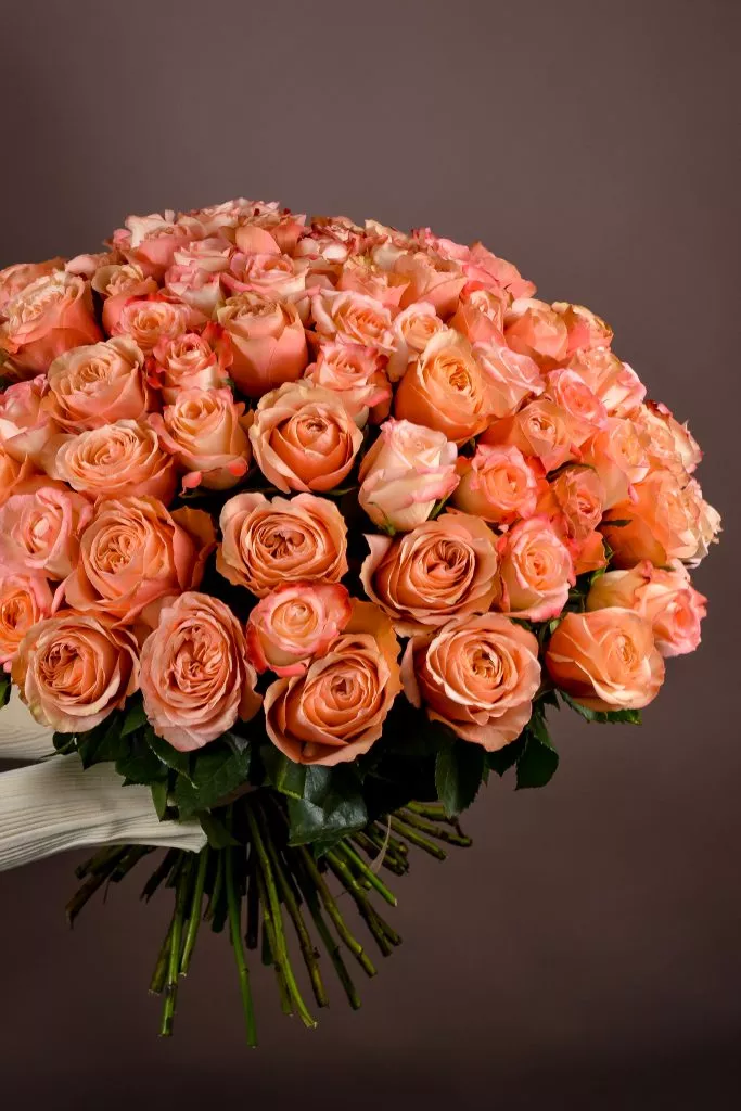 101 розовые розы Эквадор