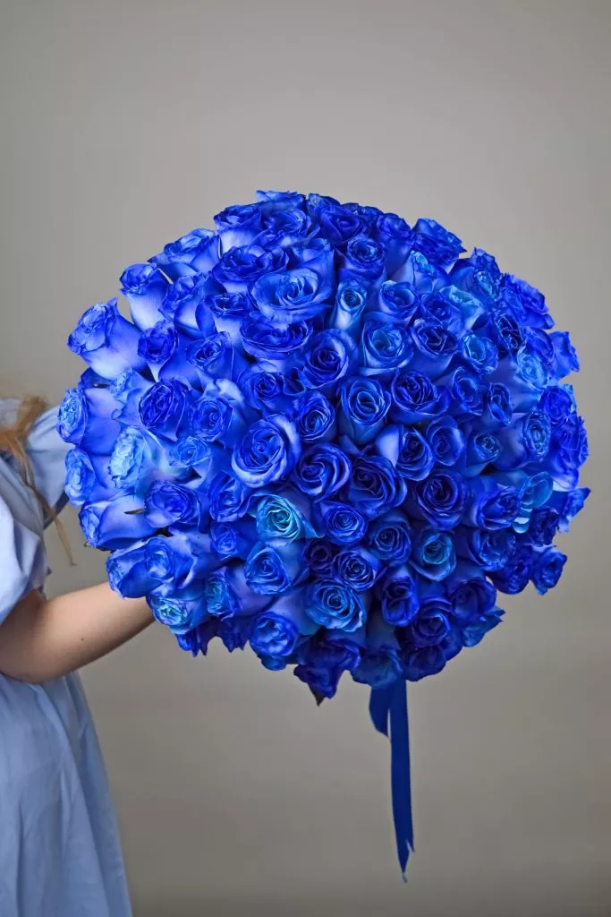 101 синяя роза Эквадор