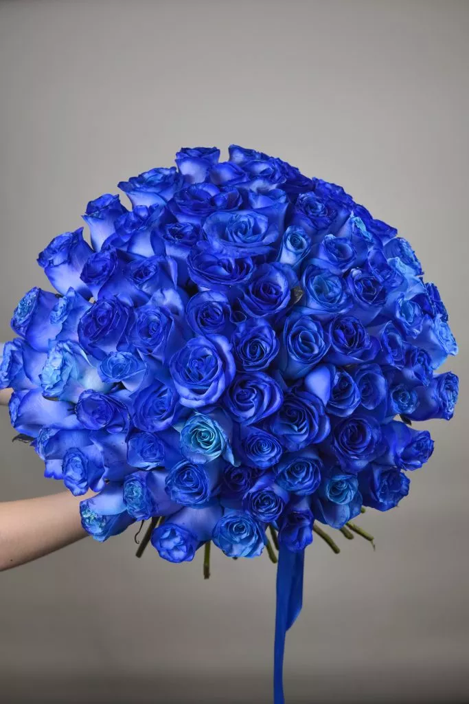 75 синих роз Эквадор