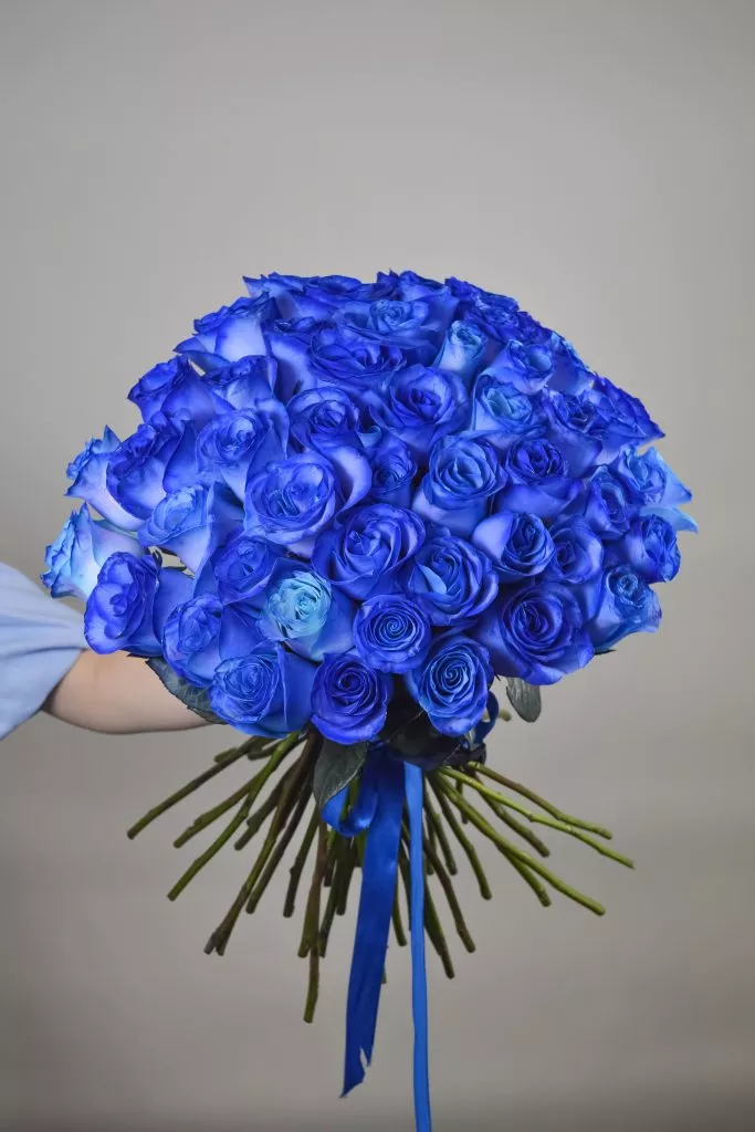 51 синяя роза Эквадор
