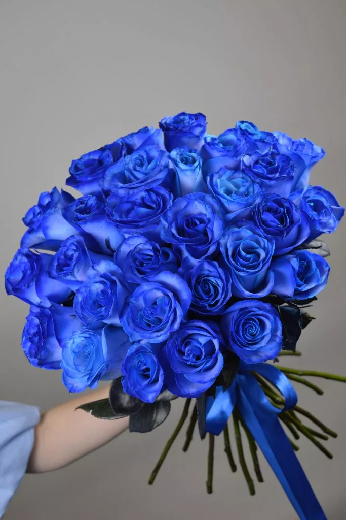 31 синяя розф Эквадор