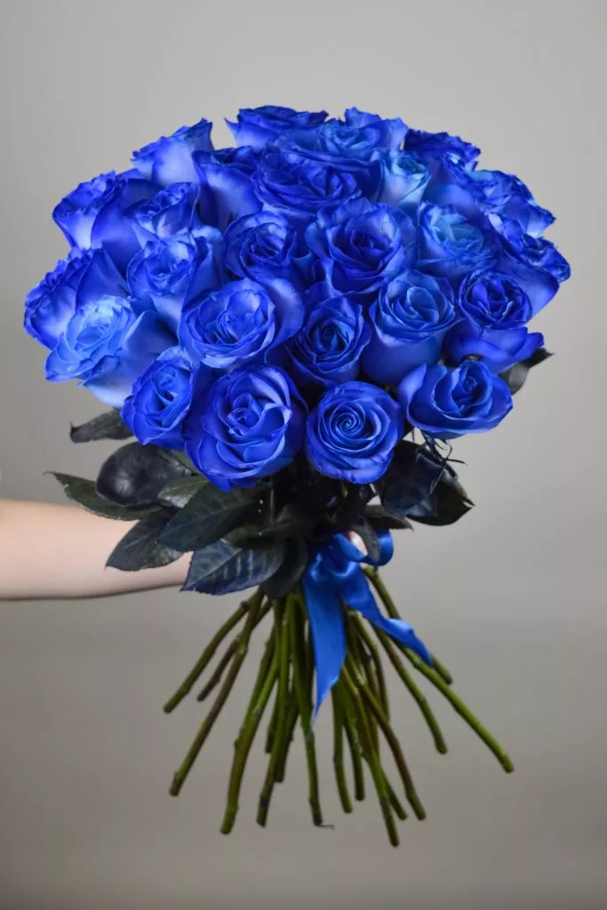 29 синих роз Эквадор