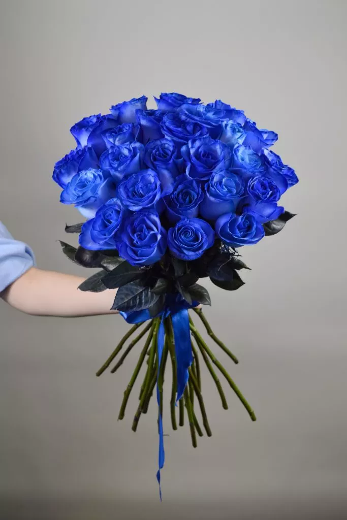 25 синих роз Эквадор
