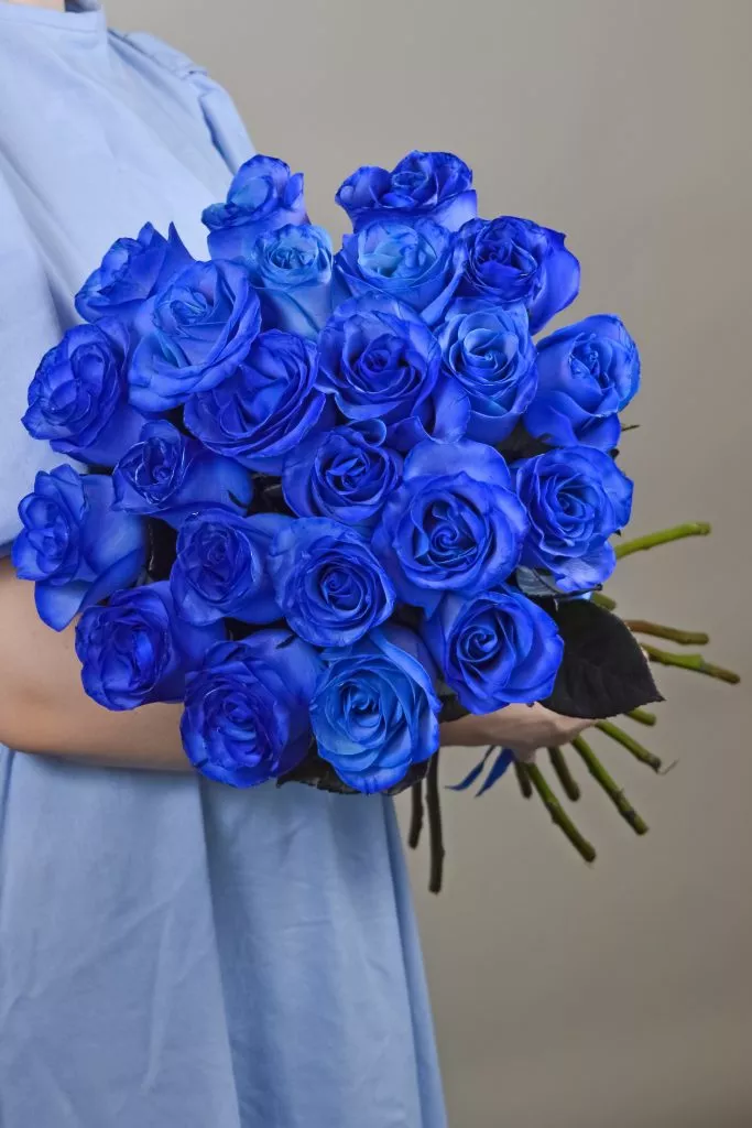23 синих роз Эквадор