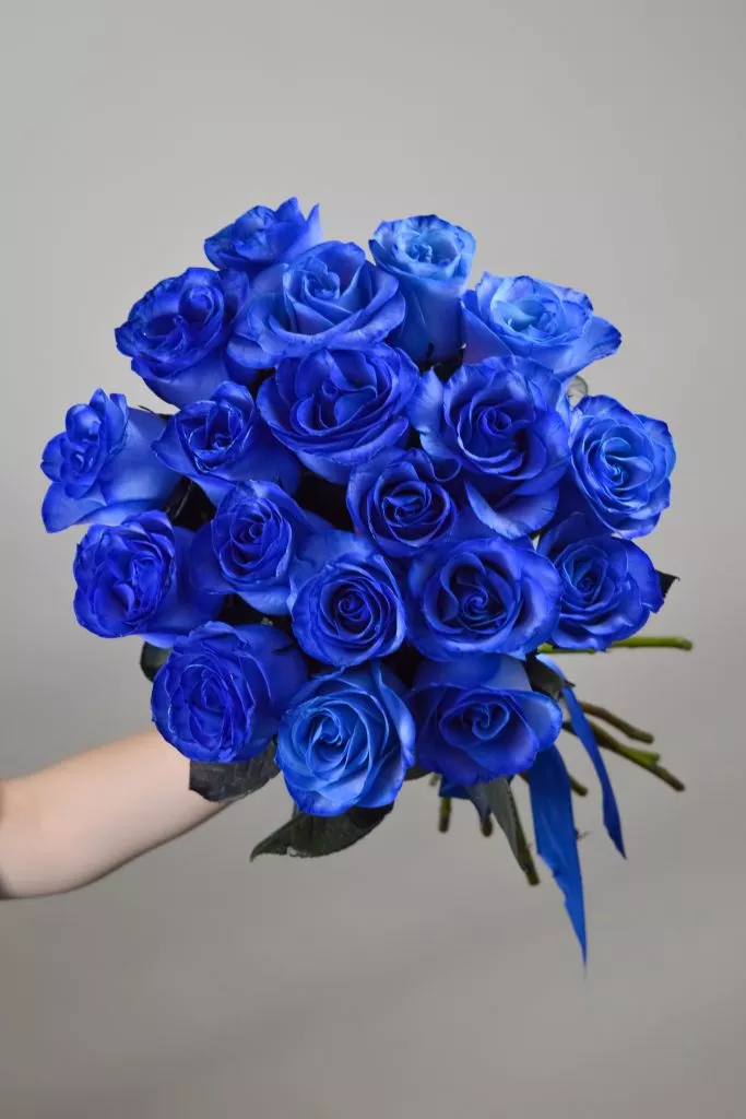 19 синих роз