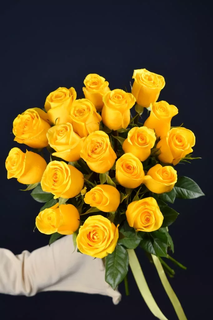 желтая роза